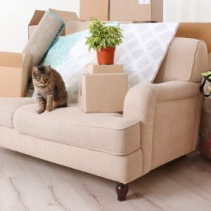 Vintage Leather Journal