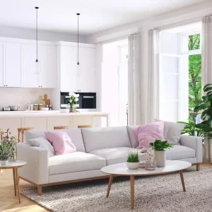 Velvet Throw Pillow Set